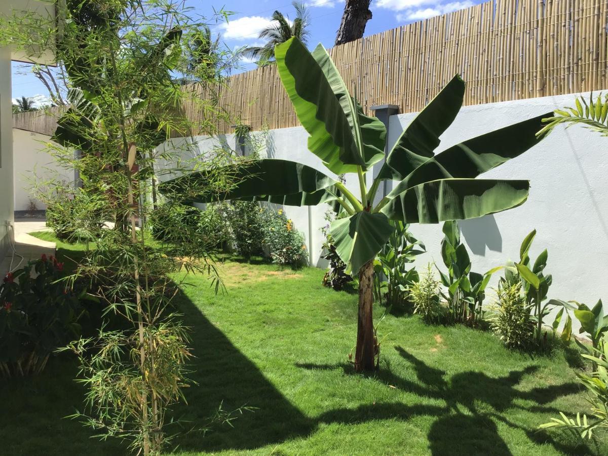 Bamboobeachvilla1 Ac New Oceanfront Pool Sunsetview Garden Kitchen Satellite Starlink Wi-Fi Dimiao Εξωτερικό φωτογραφία