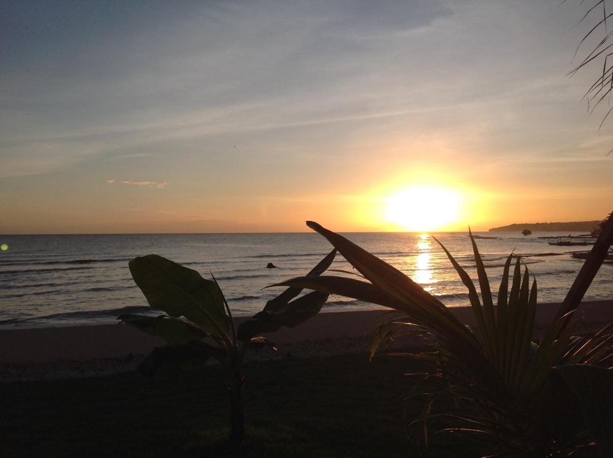 Bamboobeachvilla1 Ac New Oceanfront Pool Sunsetview Garden Kitchen Satellite Starlink Wi-Fi Dimiao Εξωτερικό φωτογραφία